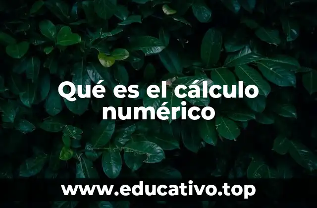 Qué es el cálculo numérico
