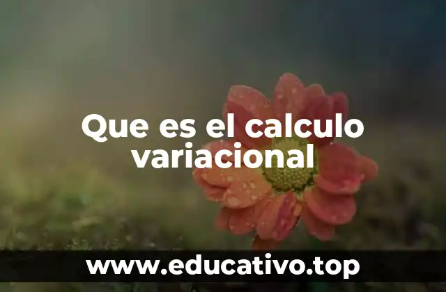 Que es el calculo variacional