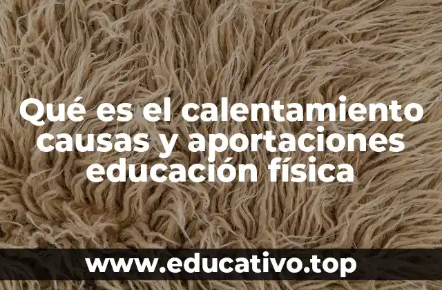 Qué es el calentamiento causas y aportaciones educación física