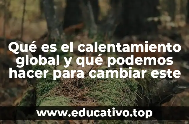 Qué es el calentamiento global y qué podemos hacer para cambiar este