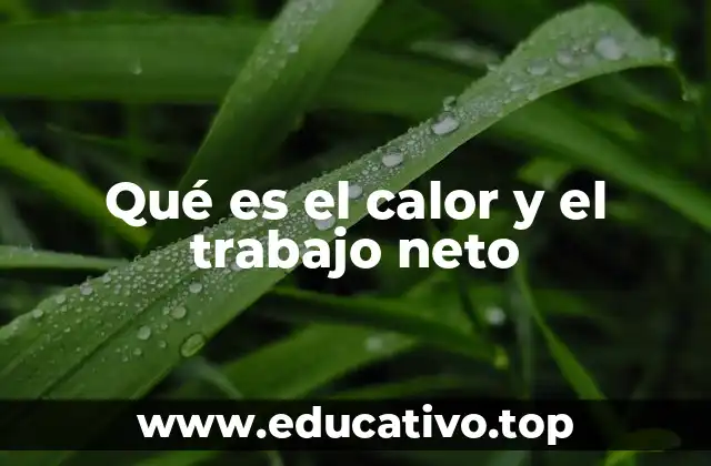 Qué es el calor y el trabajo neto