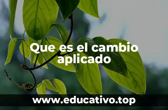 Que es el cambio aplicado