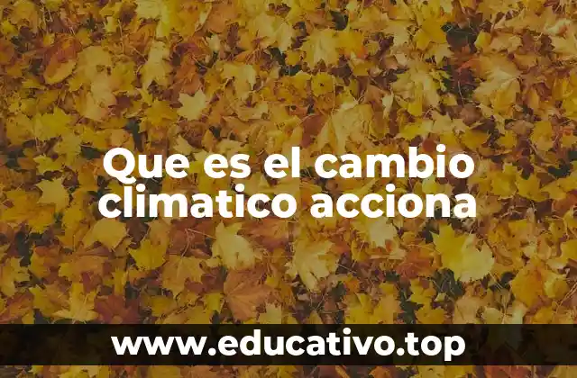 Que es el cambio climatico acciona