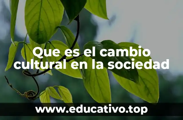 Que es el cambio cultural en la sociedad