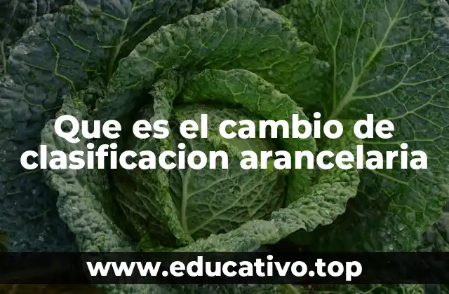 Que es el cambio de clasificacion arancelaria