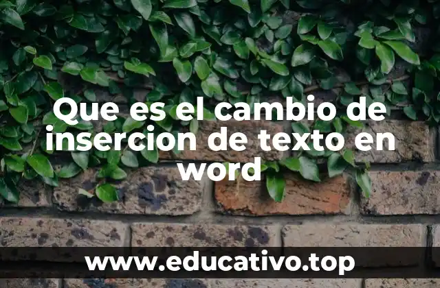 Que es el cambio de insercion de texto en word