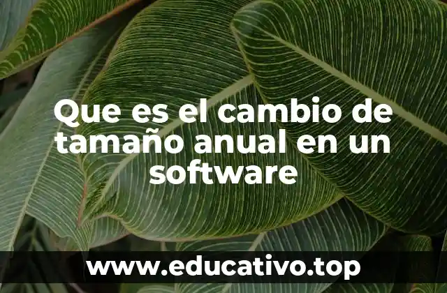 Que es el cambio de tamaño anual en un software