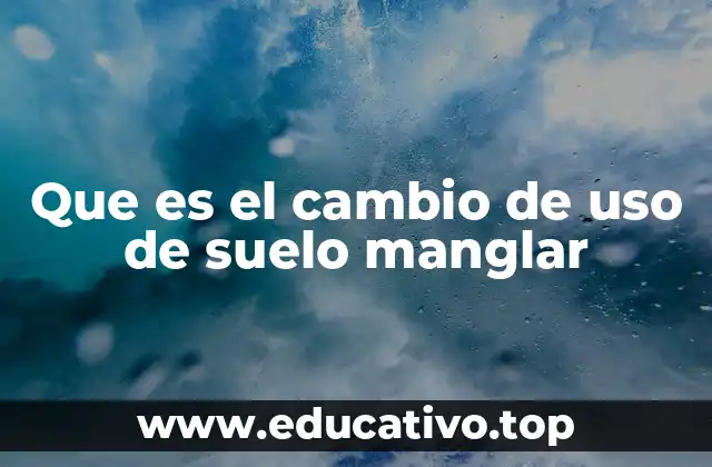 Que es el cambio de uso de suelo manglar