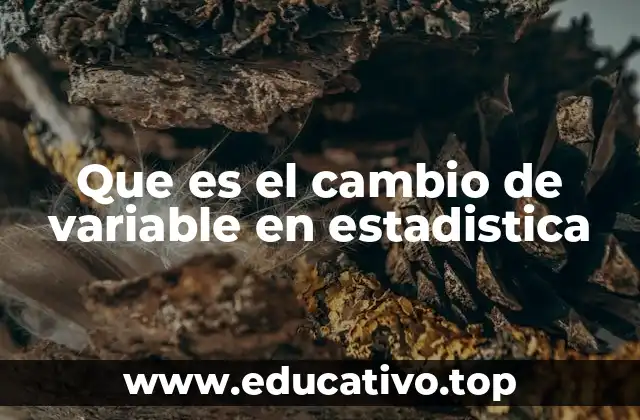 Que es el cambio de variable en estadistica