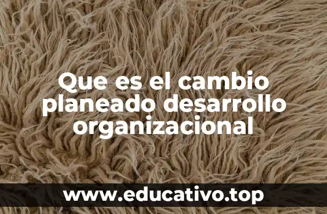 Cómo el desarrollo organizacional impulsa el cambio sostenible