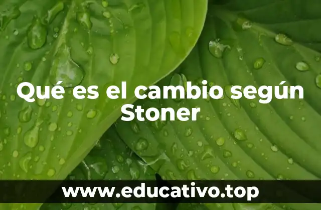 Qué es el cambio según Stoner