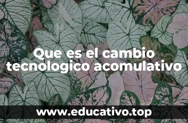 Que es el cambio tecnologico acomulativo