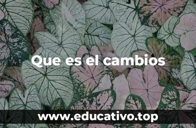 Que es el cambios