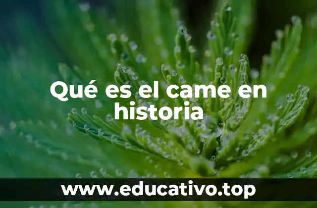 Qué es el came en historia