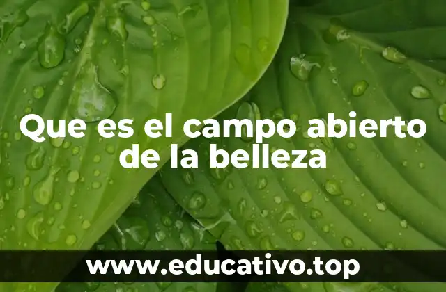 Que es el campo abierto de la belleza
