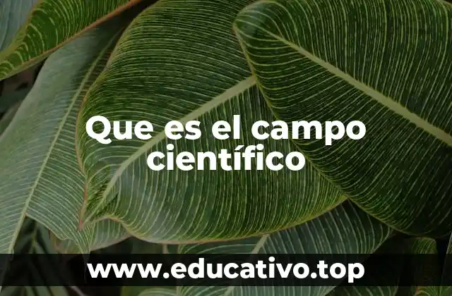 La relevancia de la ciencia en la sociedad actual