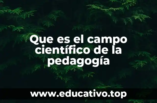 Que es el campo científico de la pedagogía