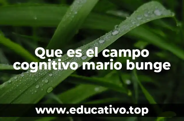Que es el campo cognitivo mario bunge