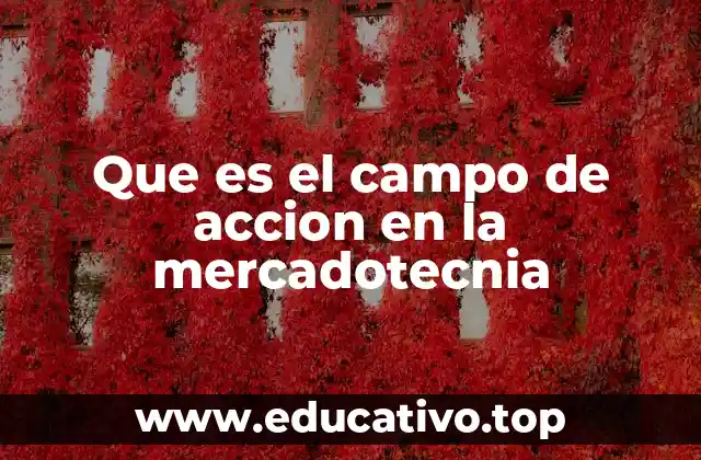 Que es el campo de accion en la mercadotecnia