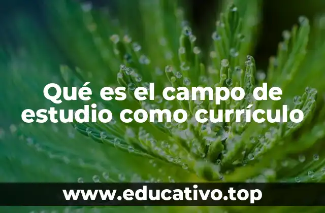 Qué es el campo de estudio como currículo