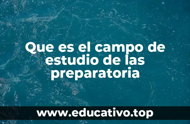 La importancia de los campos de estudio en la formación educativa
