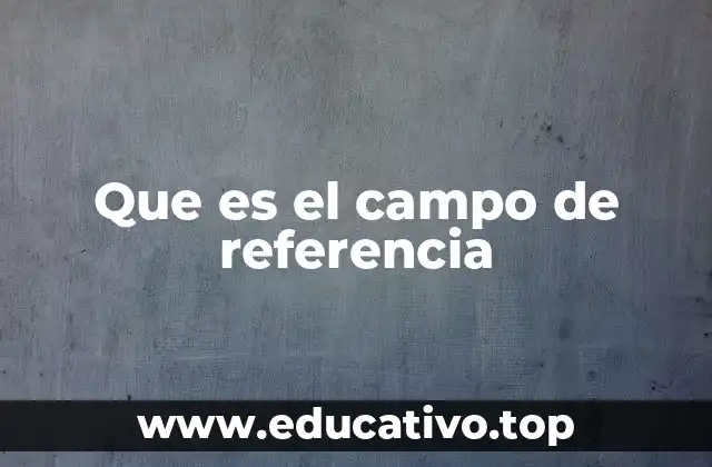 Que es el campo de referencia