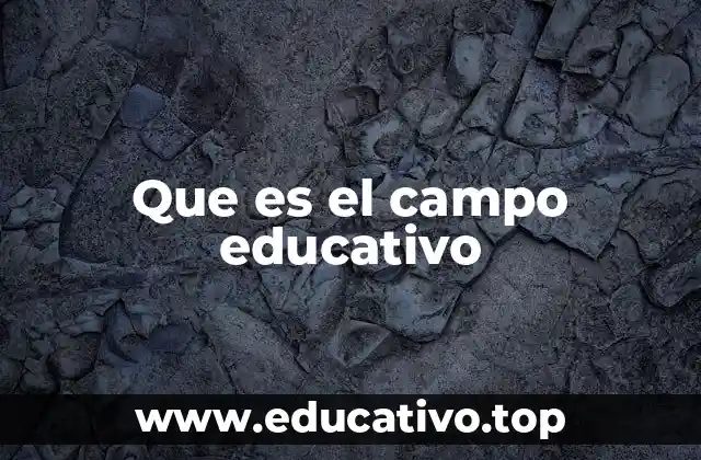 Que es el campo educativo