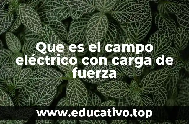Que es el campo eléctrico con carga de fuerza