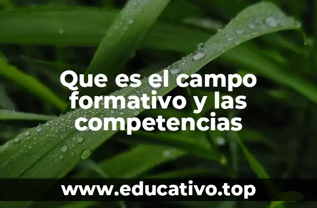 Que es el campo formativo y las competencias
