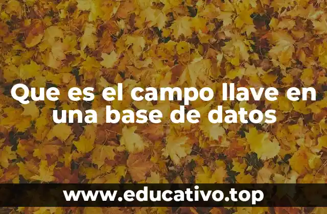 Que es el campo llave en una base de datos