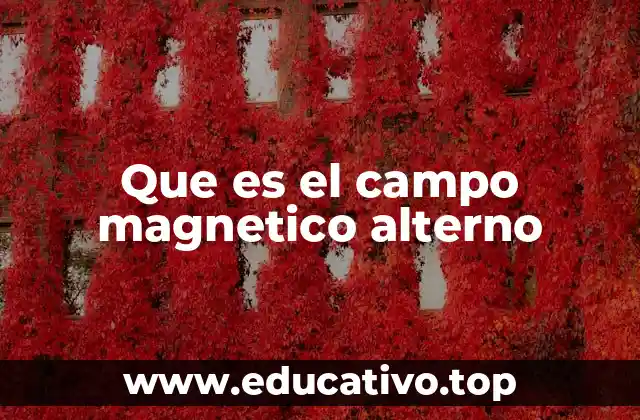 Que es el campo magnetico alterno