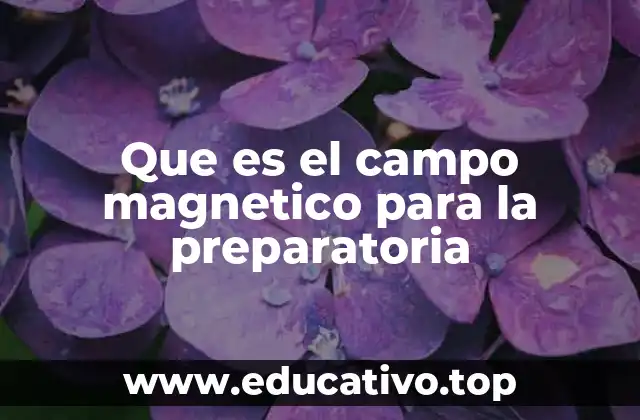 Que es el campo magnetico para la preparatoria