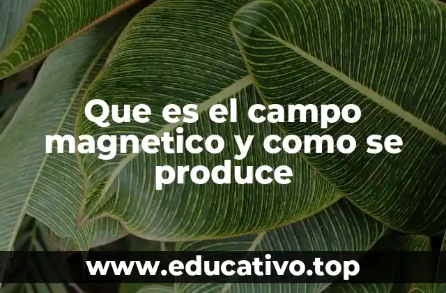 Que es el campo magnetico y como se produce