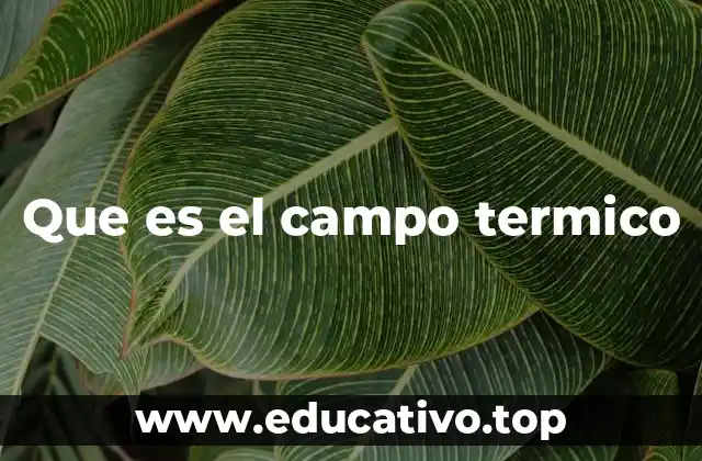 Que es el campo termico