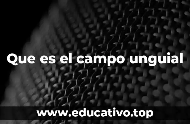 Que es el campo unguial