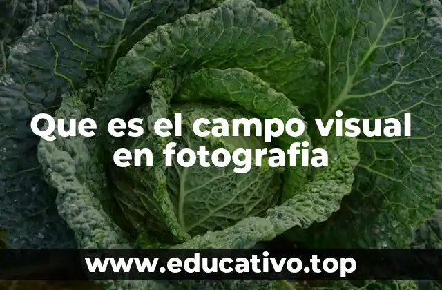 Que es el campo visual en fotografia