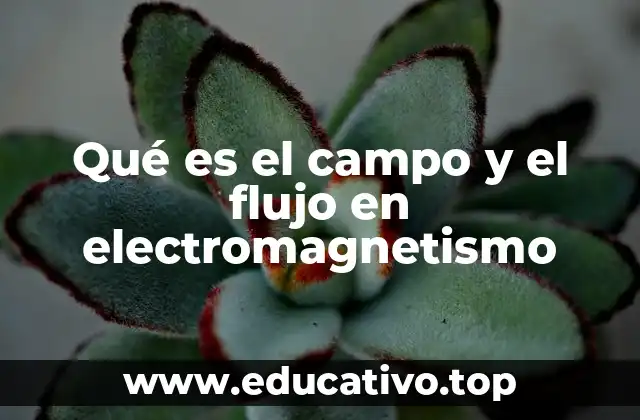 Qué es el campo y el flujo en electromagnetismo