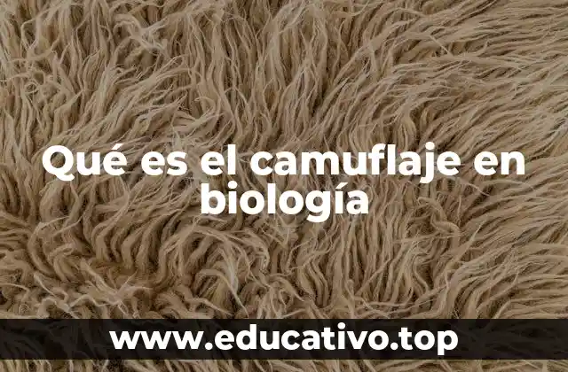 Qué es el camuflaje en biología