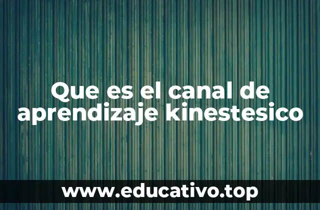Que es el canal de aprendizaje kinestesico