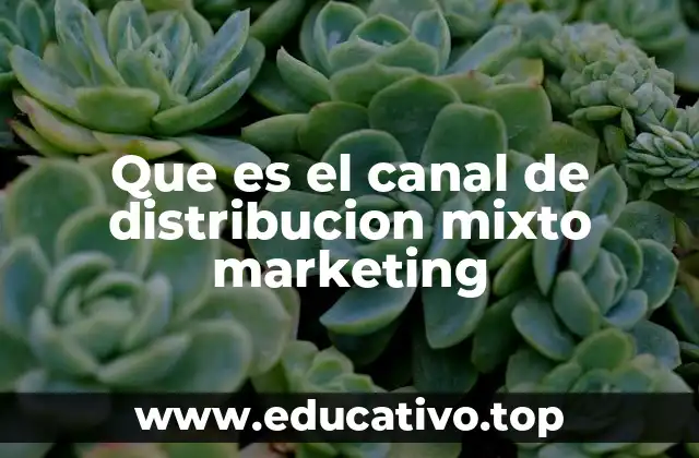 Ventajas del canal de distribución mixto