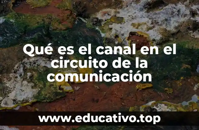 Qué es el canal en el circuito de la comunicación