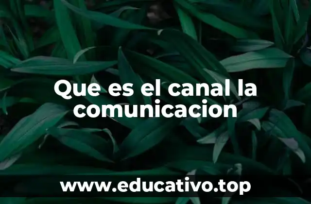 Que es el canal la comunicacion