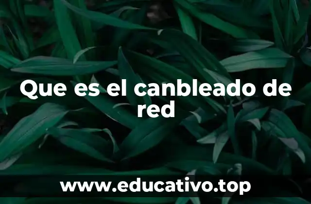 Que es el canbleado de red