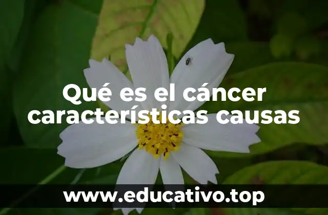 Qué es el cáncer características causas