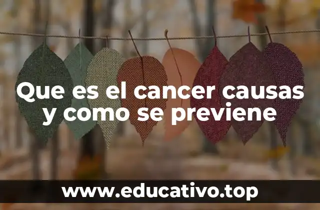 Que es el cancer causas y como se previene