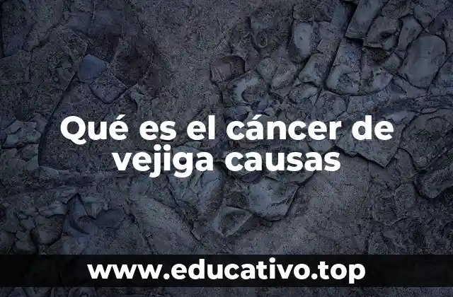 Qué es el cáncer de vejiga causas