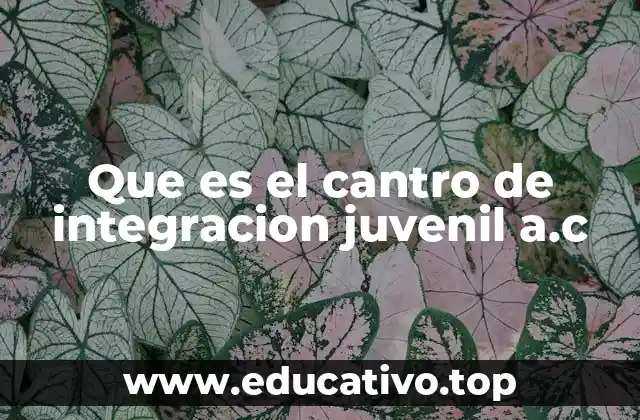 Que es el cantro de integracion juvenil a.c