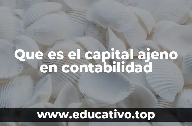 Que es el capital ajeno en contabilidad