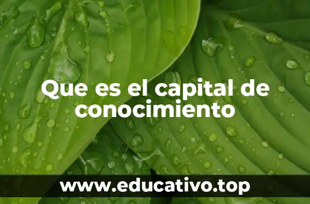 Que es el capital de conocimiento