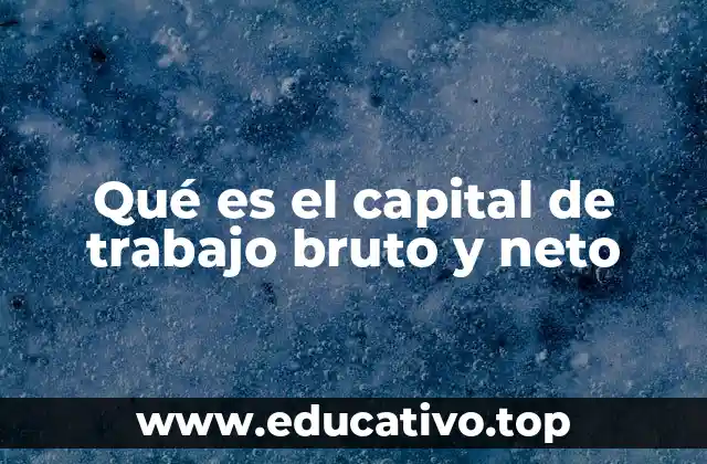 Qué es el capital de trabajo bruto y neto